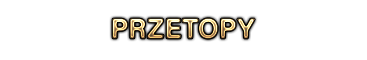 ArezzoMT2 prezentacja